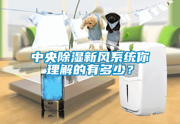中央除濕新風系統你理解的有多少？