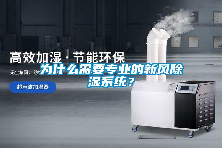為什么需要專業的新風除濕系統？