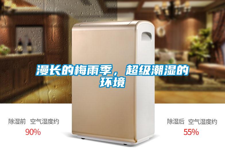 漫長的梅雨季，超級潮濕的環境