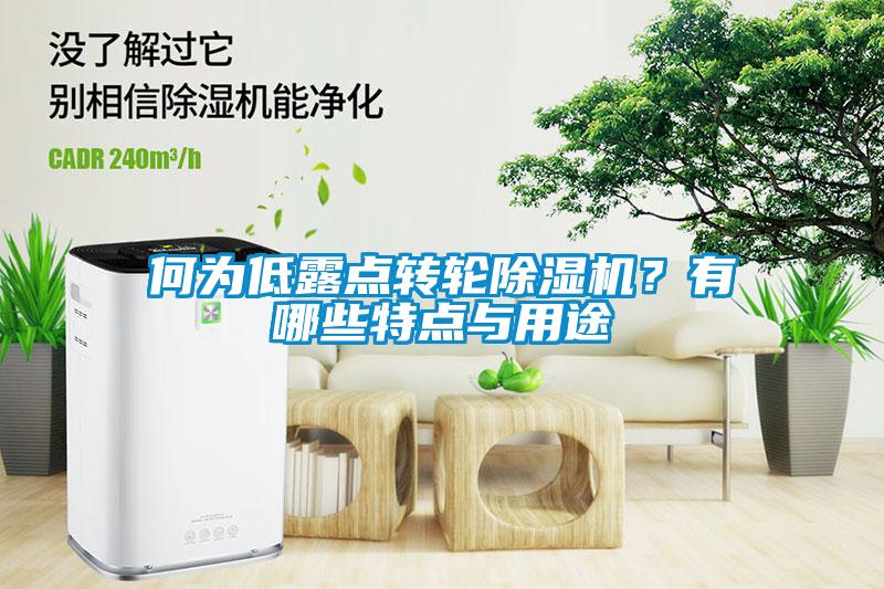 何為低露點轉(zhuǎn)輪除濕機？有哪些特點與用途