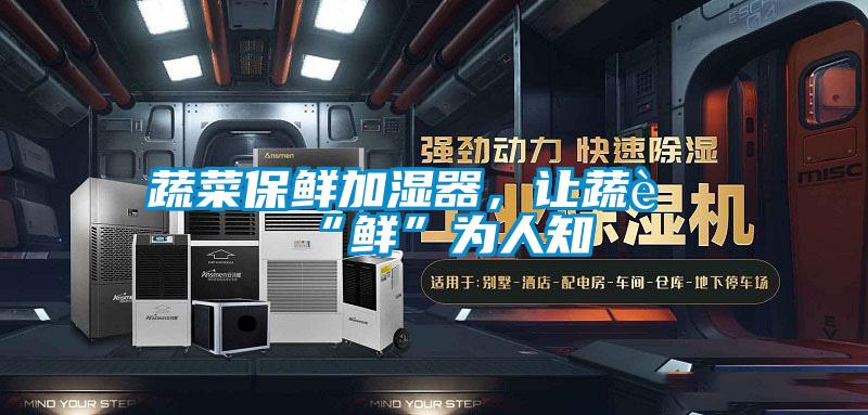 蔬菜保鮮加濕器，讓蔬菜“鮮”為人知