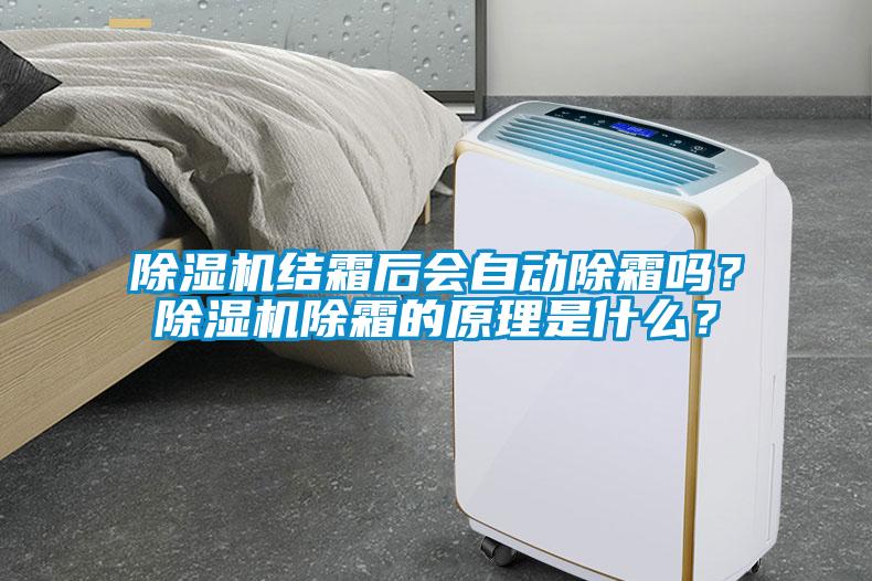 除濕機(jī)結(jié)霜后會(huì)自動(dòng)除霜嗎？除濕機(jī)除霜的原理是什么？