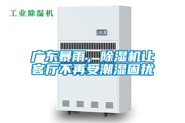 廣東暴雨，除濕機讓客廳不再受潮濕困擾