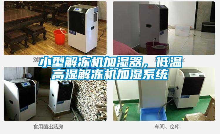 小型解凍機(jī)加濕器，低溫高濕解凍機(jī)加濕系統(tǒng)