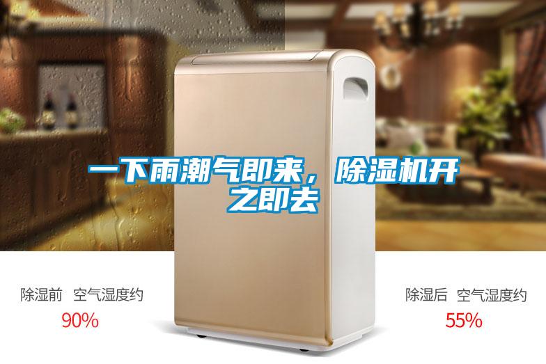 一下雨潮氣即來，除濕機開之即去