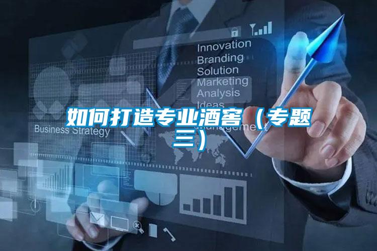 如何打造專業(yè)酒窖(專題三)