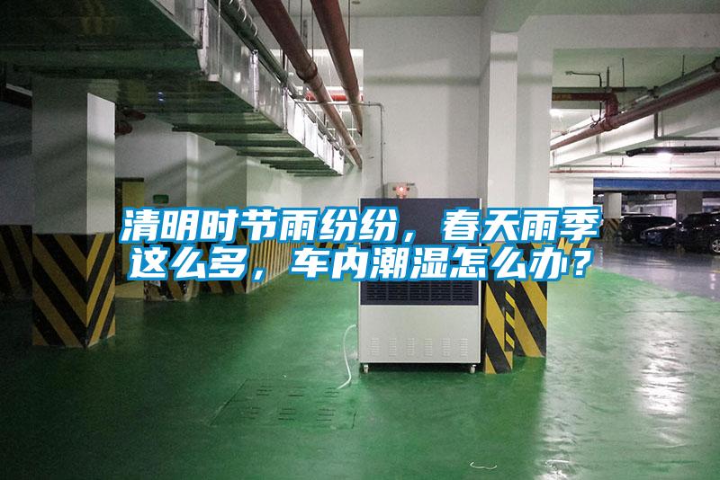 清明時(shí)節(jié)雨紛紛，春天雨季這么多，車內(nèi)潮濕怎么辦？