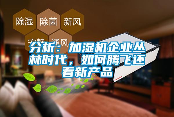 分析：加濕機企業(yè)叢林時代，如何騰飛還看新產(chǎn)品