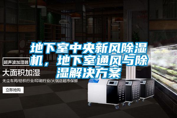 地下室中央新風除濕機，地下室通風與除濕解決方案