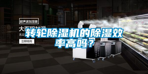 轉輪除濕機的除濕效率高嗎?