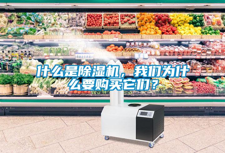 什么是除濕機，我們?yōu)槭裁匆徺I它們？