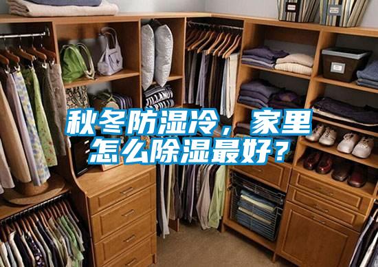 秋冬防濕冷，家里怎么除濕最好？