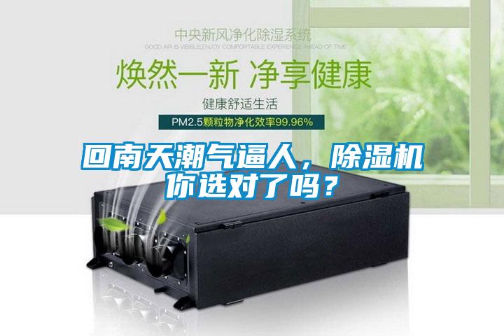 回南天潮氣逼人，除濕機你選對了嗎？