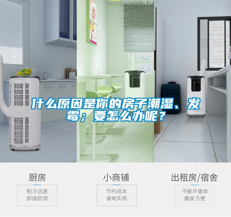 什么原因是你的房子潮濕、發霉;要怎么辦呢?