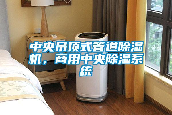中央吊頂式管道除濕機(jī)，商用中央除濕系統(tǒng)