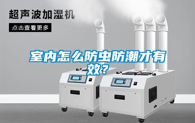 室內(nèi)怎么防蟲(chóng)防潮才有效？