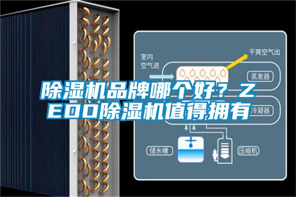 除濕機品牌哪個好？ZEDO除濕機值得擁有