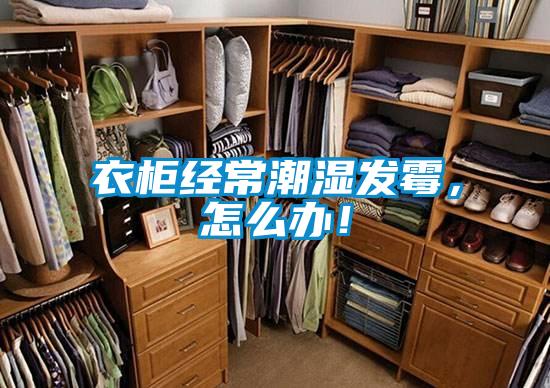 衣柜經常潮濕發霉，怎么辦！