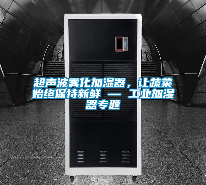 超聲波霧化加濕器，讓蔬菜始終保持新鮮 — 工業(yè)加濕器專題