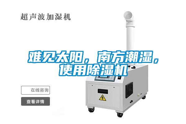 難見太陽，南方潮濕，使用除濕機