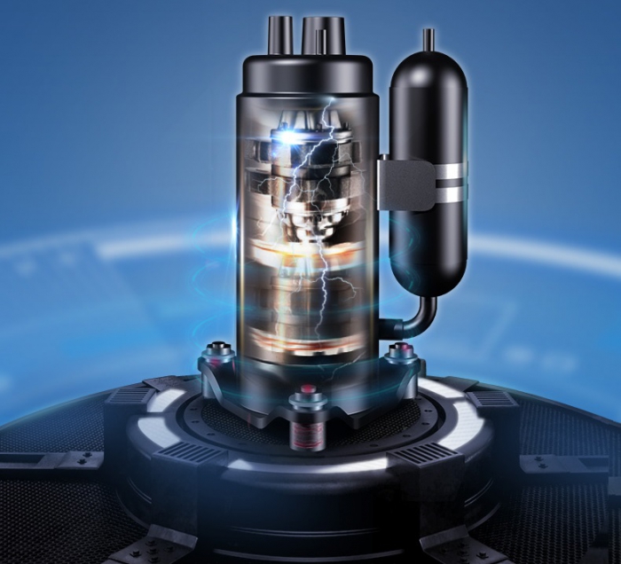 潮濕的木頭長木耳，寒濕的體質長腫瘤！