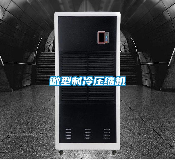 微型制冷壓縮機(jī)