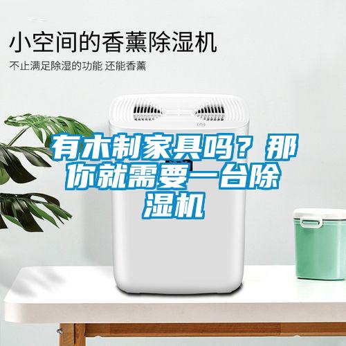 有木制家具嗎?那你就需要一臺除濕機(jī)