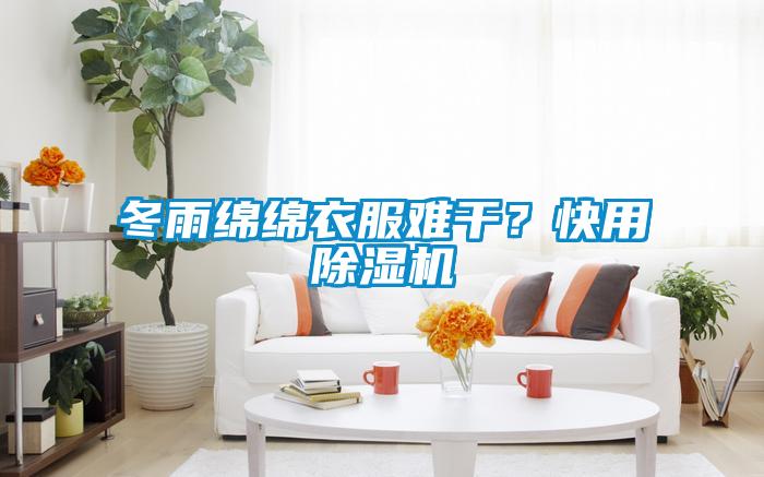 冬雨綿綿衣服難干？快用除濕機