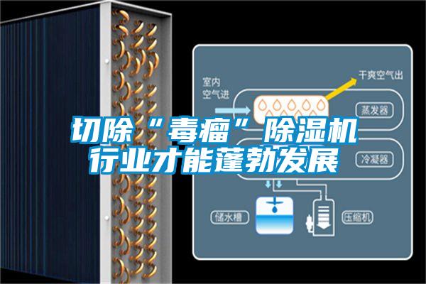 切除“毒瘤”除濕機行業才能蓬勃發展