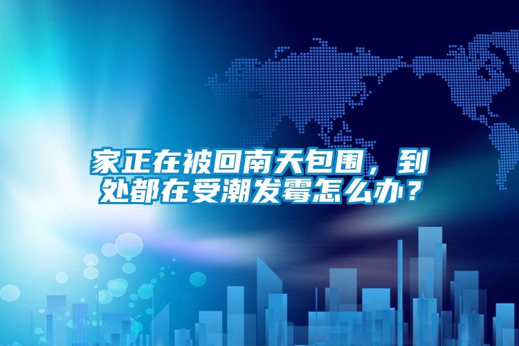家正在被回南天包圍，到處都在受潮發霉怎么辦？
