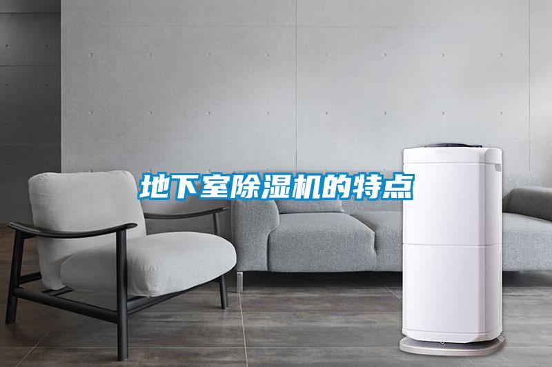 地下室除濕機(jī)的特點(diǎn)