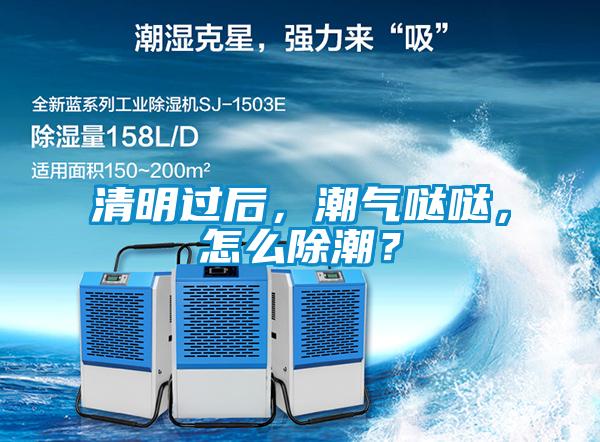 清明過后，潮氣噠噠，怎么除潮？