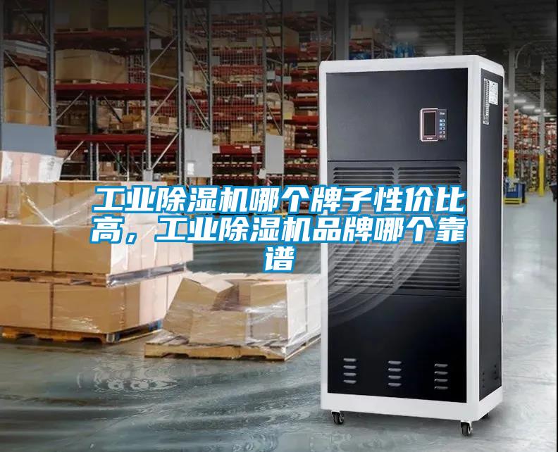 工業(yè)除濕機(jī)哪個(gè)牌子性價(jià)比高，工業(yè)除濕機(jī)品牌哪個(gè)靠譜