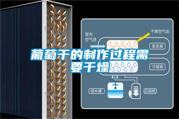 葡萄干的制作過程需要干燥