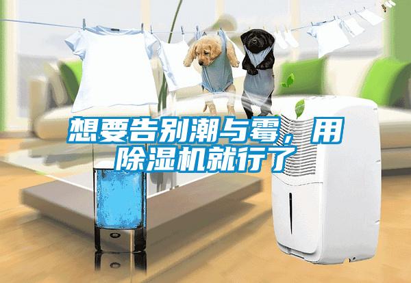 想要告別潮與霉，用除濕機就行了