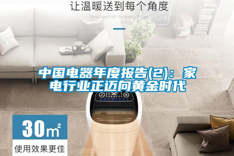 中國電器年度報告(2):家電行業正邁向黃金時代