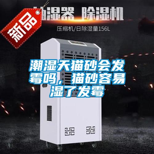 潮濕天貓砂會(huì)發(fā)霉嗎，貓砂容易濕了發(fā)霉