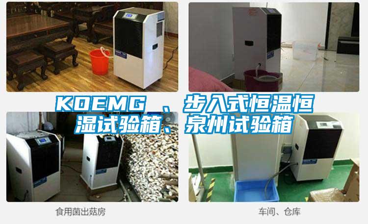 KOEMG 、步入式恒溫恒濕試驗(yàn)箱、泉州試驗(yàn)箱