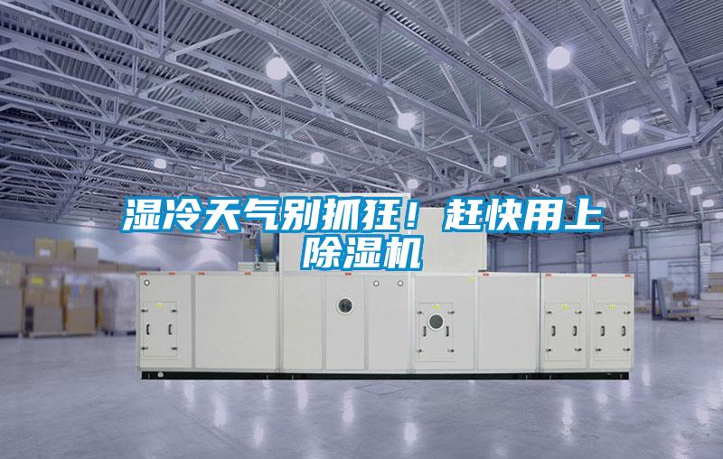 濕冷天氣別抓狂！趕快用上除濕機