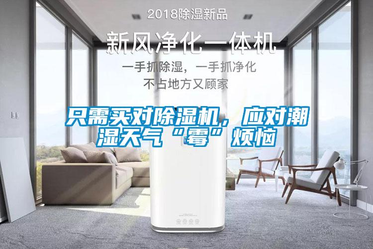 只需買對除濕機(jī),應(yīng)對潮濕天氣“霉”煩惱
