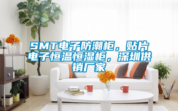 SMT電子防潮柜，貼片電子恒溫恒濕柜，深圳供銷廠家