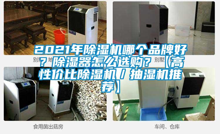 2021年除濕機哪個品牌好？除濕器怎么選購？【高性價比除濕機／抽濕機推薦】