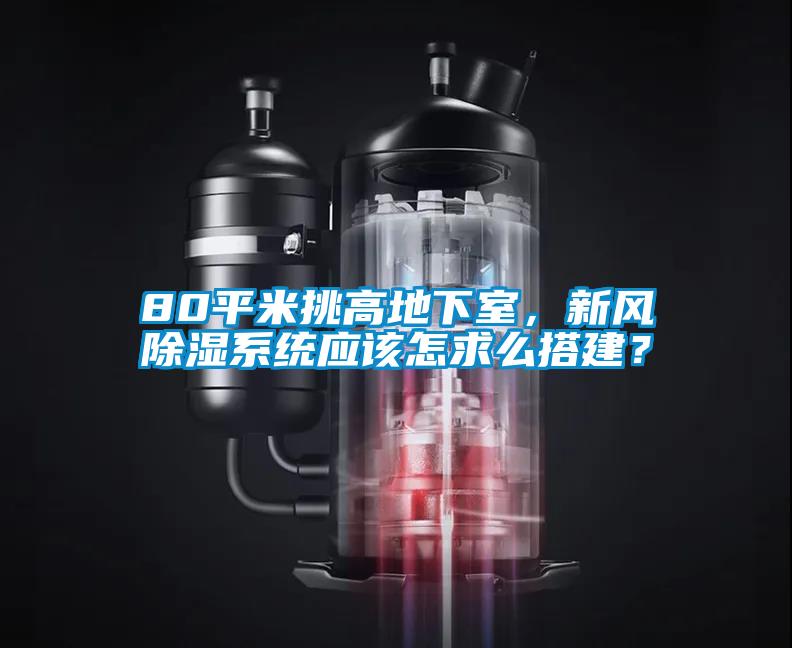 80平米挑高地下室，新風除濕系統(tǒng)應該怎求么搭建？