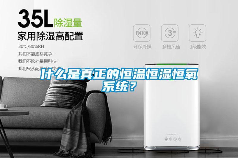 什么是真正的恒溫恒濕恒氧系統(tǒng)？