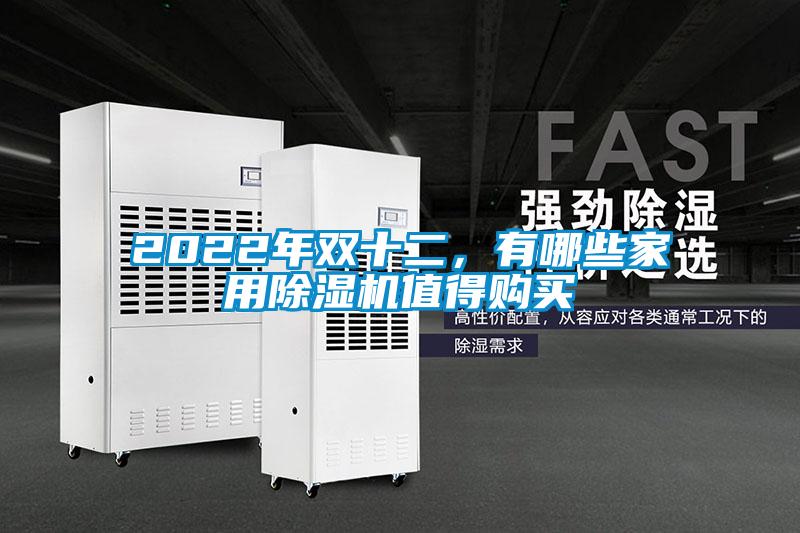 2022年雙十二，有哪些家用除濕機值得購買