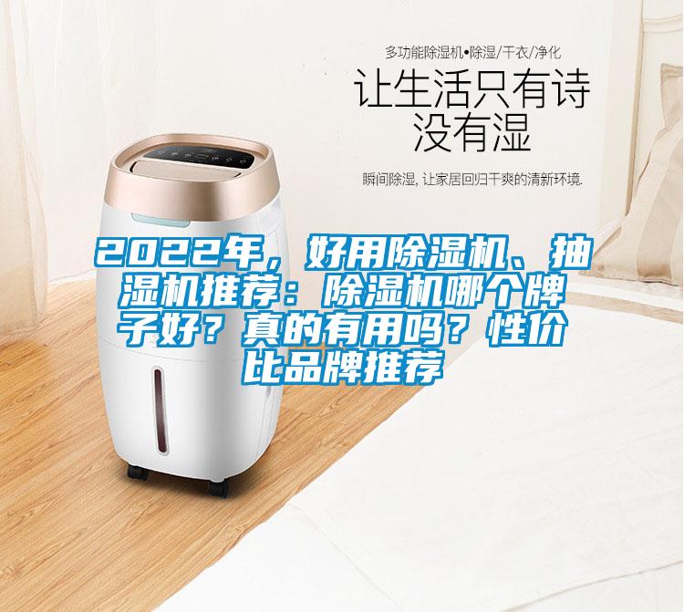 2022年，好用除濕機(jī)、抽濕機(jī)推薦：除濕機(jī)哪個(gè)牌子好？真的有用嗎？性?xún)r(jià)比品牌推薦