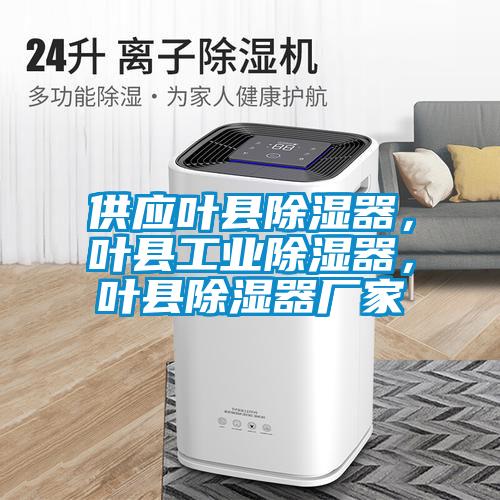 供應(yīng)葉縣除濕器，葉縣工業(yè)除濕器，葉縣除濕器廠家