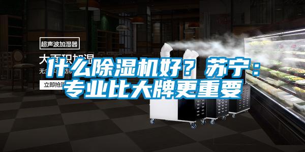 什么除濕機好？蘇寧：專業(yè)比大牌更重要