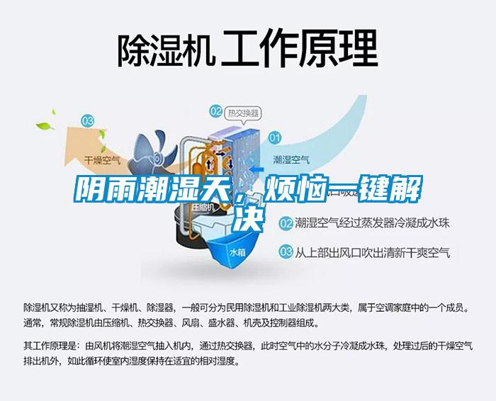 陰雨潮濕天,煩惱一鍵解決