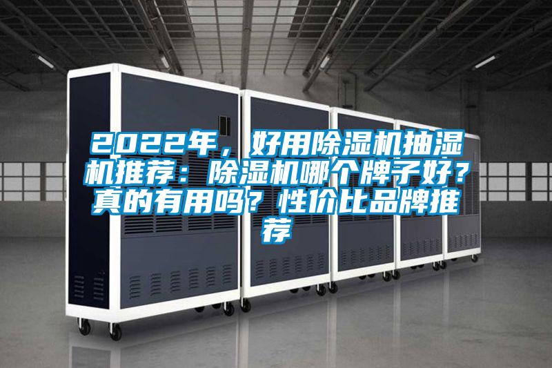 2022年，好用除濕機(jī)抽濕機(jī)推薦：除濕機(jī)哪個(gè)牌子好？真的有用嗎？性?xún)r(jià)比品牌推薦